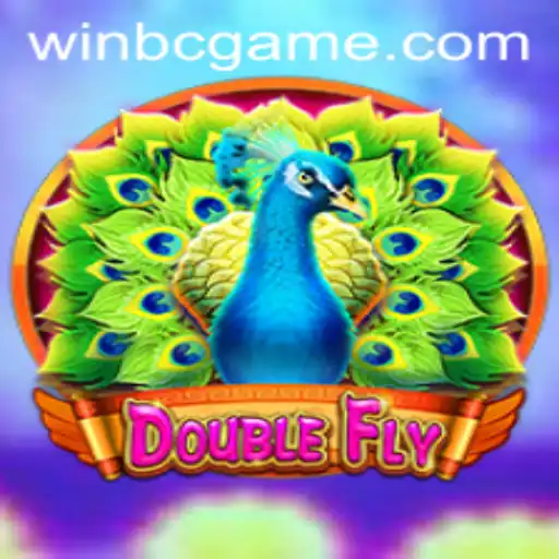 DoubleFly: The New Era of Interactive Gaming